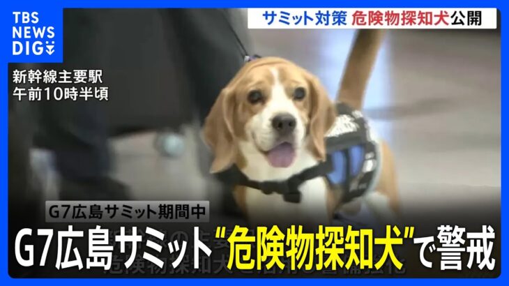 G7広島サミット中に“危険物探知犬”で警戒　新幹線の主要駅で｜TBS NEWS DIG