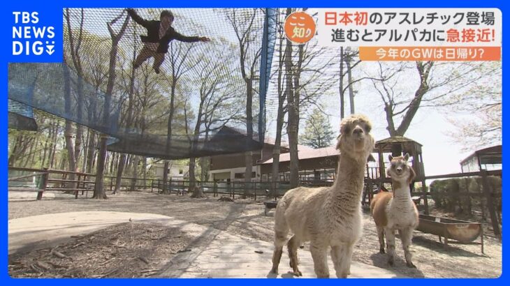 「近場で過ごしたい」今年のGWは“日帰り旅”が人気　手軽に行ける新スポットが続々誕生｜TBS NEWS DIG