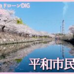 戻りつつある春の風景　大分県大分市【JNN sakuraドローンDIG 2023】