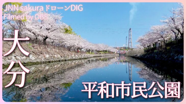 戻りつつある春の風景　大分県大分市【JNN sakuraドローンDIG 2023】