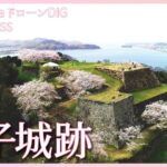 大パノラマと桜　鳥取県・米子城跡【JNN sakuraドローンDIG 2023】