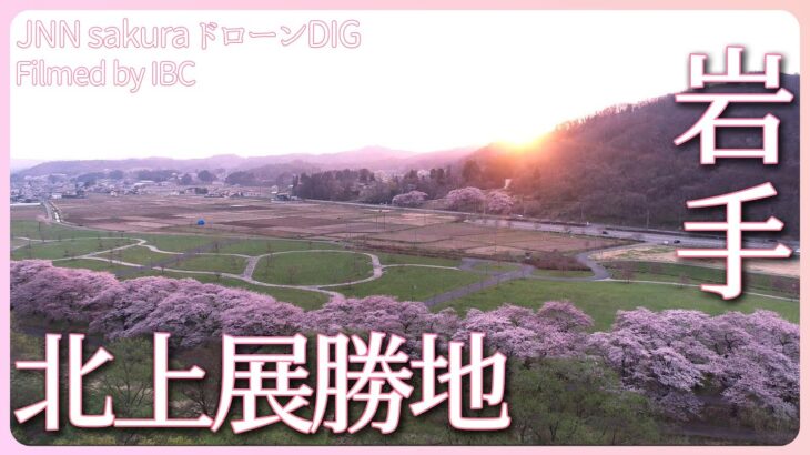北上展勝地　満開の桜【JNN sakuraドローンDIG 2023】