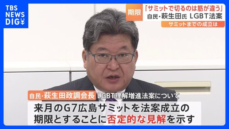 自民・萩生田氏　LGBT理解増進法の“G7開幕前”期限設定を否定「サミットで切るのは筋が違う」｜TBS NEWS DIG