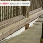 NHK朝ドラ撮影でリハーサル中「重要文化財の寺」の一部破損させ謝罪「濡れ縁」支える木材折れ床板外れる　滋賀・百済寺(2023年4月26日)