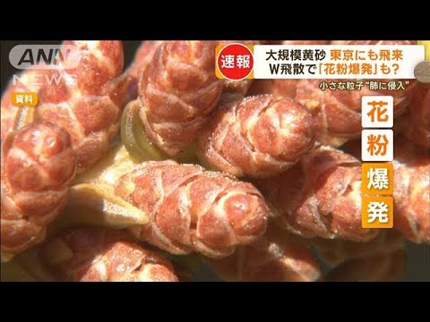 “大規模黄砂”東京にも飛来　W飛散で「花粉爆発」も？…人体にも影響を及ぼす恐れ【もっと知りたい！】(2023年4月13日)