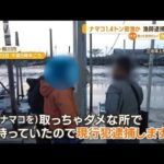 “ナマコ1.4トン”密漁か　漁師逮捕の瞬間(2023年5月29日)