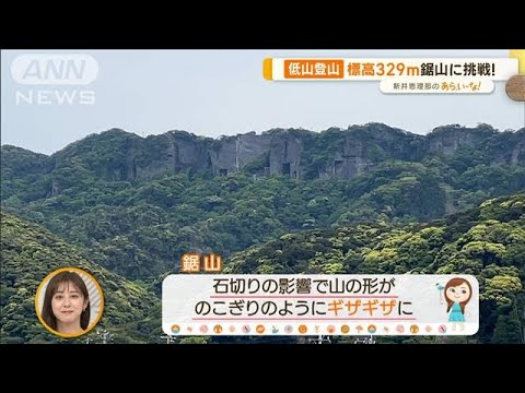 手軽＆楽しい！人気の「低山登山」　“1時間半で山頂”鋸山に挑戦【あらいーな】(2023年5月15日)