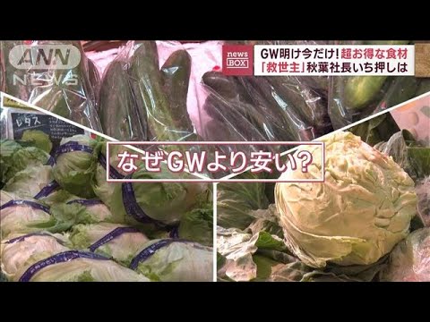 “野菜の王様”今だけお買い得　「出来は100点」農家も太鼓判(2023年5月9日)