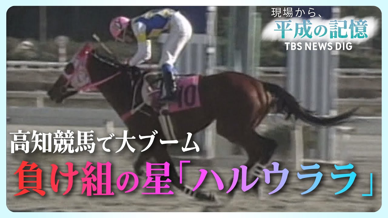 【113連敗】地方馬なのに…武豊騎手と“夢の競演”！一体なぜ？負け続け、愛された名馬「ハルウララ」とは【平成の記憶】（2018年12月26日放送）