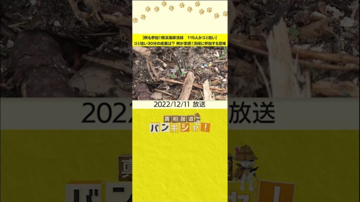 【桝も参加！横浜海岸清掃　115人がゴミ拾い】ゴミ拾い30分の成果は？　桝が実感！清掃に参加する意味