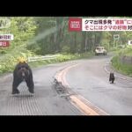 “恐怖の1分間”クマ2頭が出現　道路で遭遇多発「バックは危険」 対策は？(2023年5月22日)