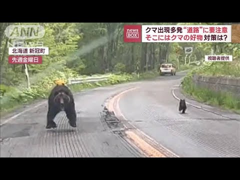 “恐怖の1分間”クマ2頭が出現　道路で遭遇多発「バックは危険」 対策は？(2023年5月22日)