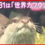 【きょうの1日】東京都心で3月並みの寒さ  水族館で「コツメカワウソ」の“ニオイ体験”が人気！？