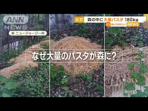 なぜ…森の中に“大量パスタ”180kg　米ニュージャージー州(2023年5月9日)