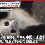 【初公開】2月に和歌山から中国に…「永明」らパンダ3頭の動画
