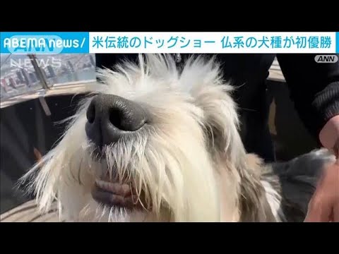 米伝統のドッグショー　仏系の犬種が初優勝(2023年5月12日)