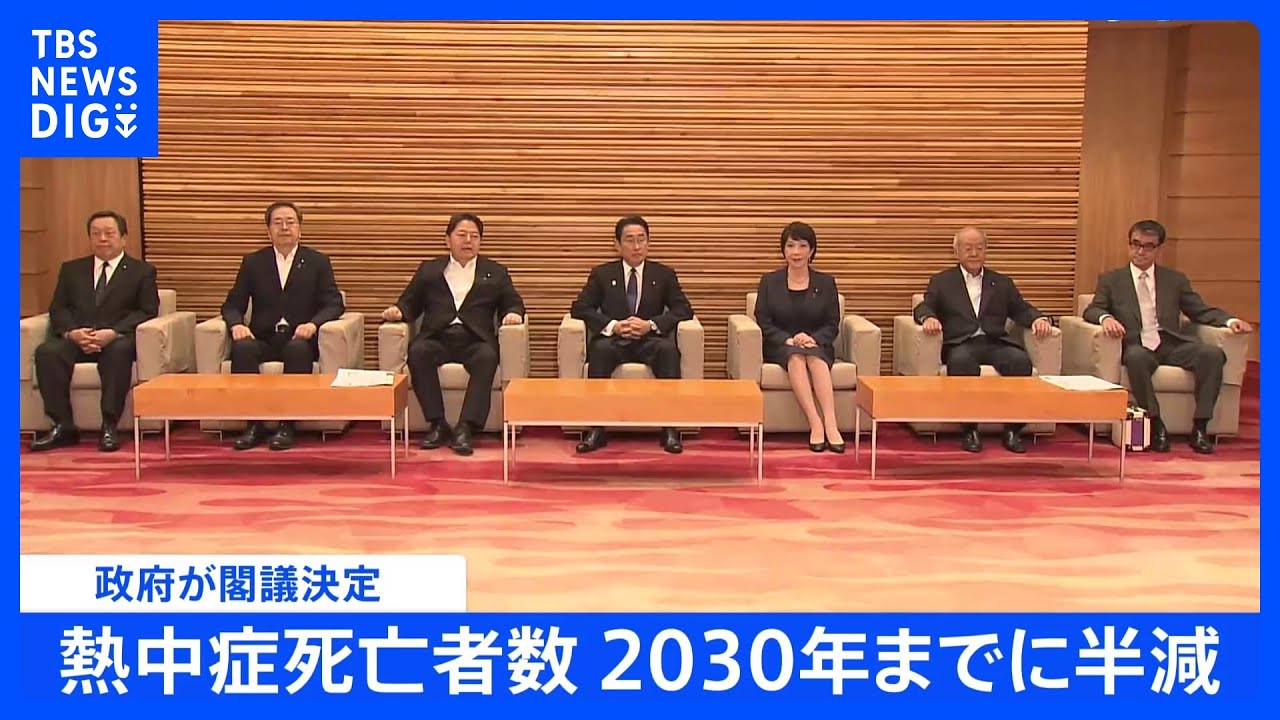 熱中症死亡者数を“2030年までに半減”へ　政府が対策強化計画を閣議決定　教育現場のエアコン設置支援なども｜TBS&nbsp;NEWS&nbsp;DIG