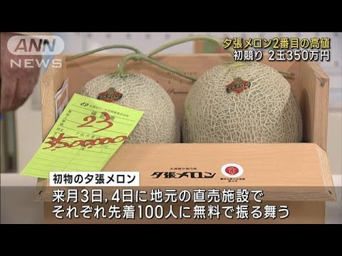 夕張メロン初競りで2玉350万円　過去2番目の高値(2023年5月25日)