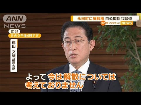 永田町に“解散風”…「東京28区」めぐり自公が緊迫　自民「譲らず戦うべき」の声も(2023年5月23日)