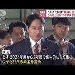 “少子化財源”議論は先送りに　3兆円上積み？「年末までに結論」(2023年5月31日)