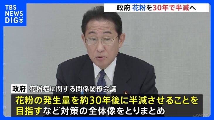 花粉症被害軽減へ花粉発生量を30年で約半減へ　政府関係閣僚会議で対策全体像まとまる｜TBS NEWS DIG