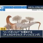 その名も“ハードボイルド”体長30m体重50トン…世界最大級の草食恐竜(2023年5月19日)