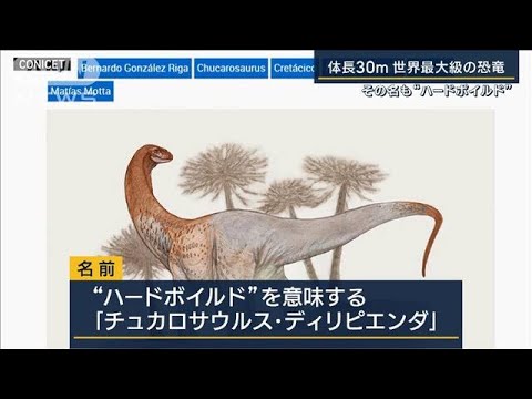その名も“ハードボイルド”体長30m体重50トン…世界最大級の草食恐竜(2023年5月19日)