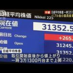 バブル後の最高値更新続く　株価一時3万1300円台(2023年5月23日)