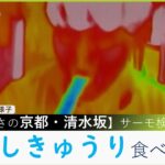 【実験】『手元35.2℃』真夏並みの京都・清水坂で「冷やしきゅうり」食べてみた…ほんとに体温下がる？（2023年5月17日）