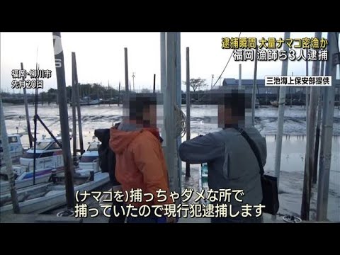 【逮捕の瞬間】ナマコ350kg密漁か　漁師ら3人逮捕 福岡(2023年5月27日)