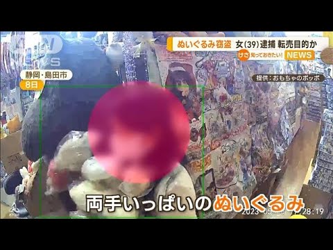 “ぬいぐるみ窃盗”　39歳女を逮捕　転売目的か(2023年5月15日)