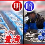 【旬の魚に明暗】「アジ」水揚げ“4割減”…漁師町の食堂もピンチ『気になる！』