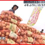 【「白子たまねぎ祭り」】4年ぶり開催　新玉ねぎ10キロを1500円で販売、収穫体験も　千葉・白子町