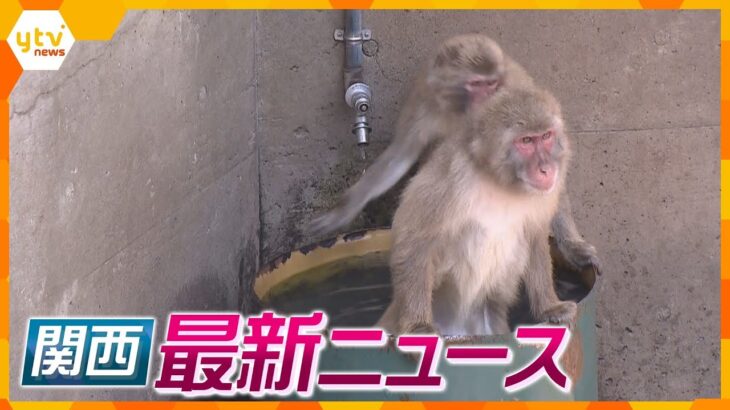 【ニュースライブ 5/18(木)】猛暑日サルも水風呂で体冷やす/当て逃げで逃走の男逮捕 警官ケガ/G７広島厳戒 平和記念公園にバリケード/大阪府警の警官「盗撮１００回くらいやった」　ほか【随時更新】