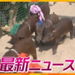 【ニュースライブ 5/3(水)】すさみ町でイノブタレース復活/ＧＷ後半関空は出国ラッシュ/朝来市で藤の花が見ごろ/下鴨神社で４年ぶりに「流鏑馬神事」　ほか【随時更新】