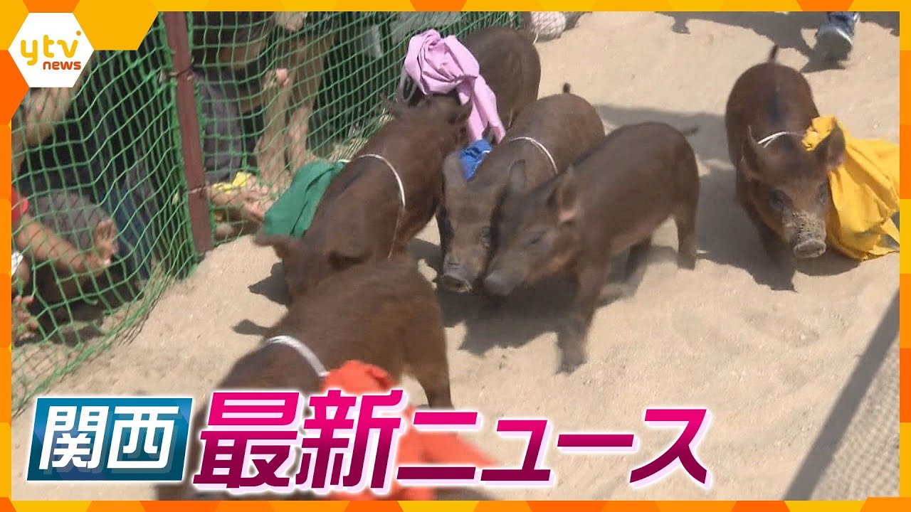 【ニュースライブ 5/3(水)】すさみ町でイノブタレース復活/ＧＷ後半関空は出国ラッシュ/朝来市で藤の花が見ごろ/下鴨神社で４年ぶりに「流鏑馬神事」　ほか【随時更新】