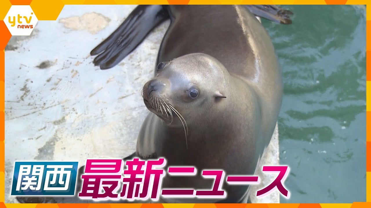 【ニュースライブ 5/9(火)】”天才トド”ハマ、産休へ/女性のパーカのフードに尿/無人アイス販売店で現金盗まれる/任天堂決算２年連続で減収・減益　ほか【随時更新】