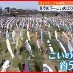 【こどもの日】青空の下…こいのぼり約500匹が泳ぐ  新潟・加茂市