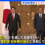 岸田総理がエジプト大統領と首脳会談 ウクライナ情勢・スーダン情勢など協議｜TBS NEWS DIG