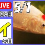 【きょうは何の日】『鯉の日』ニシキゴイ　初の“AI審査”品評会/国の有形文化財「恋しき」にハート模様のニシキゴイ　など ニュースまとめライブ【4月28日】（日テレNEWS LIVE）