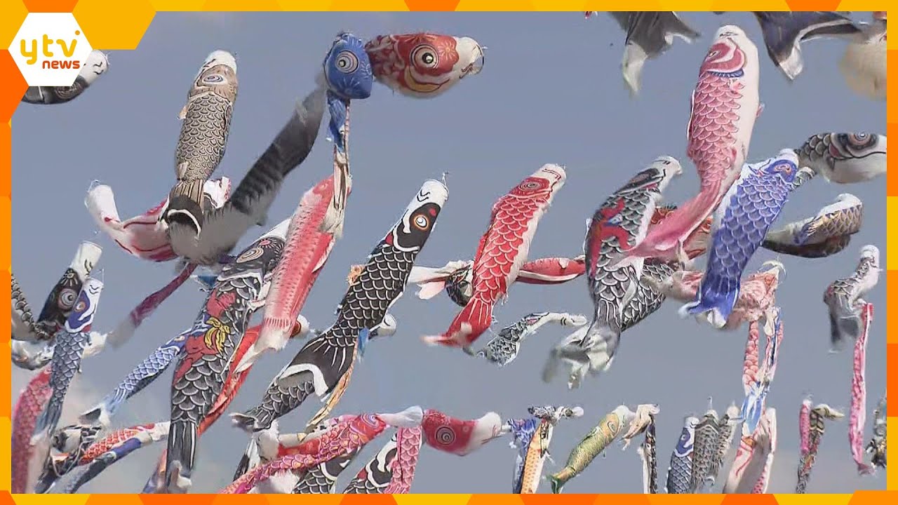 １０００匹のこいのぼりが大空に！ＧＷ恒例イベント「こいのぼりフェスタ１０００」大阪・高槻市