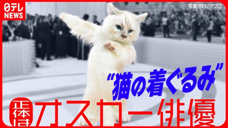 【メットガラ】“猫の着ぐるみ”が世界的ファッションの祭典に  その正体はオスカー俳優