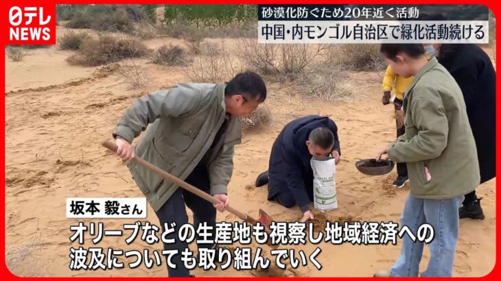 【中国・内モンゴル自治区】日本人男性らが砂漠化食い止めの緑化活動