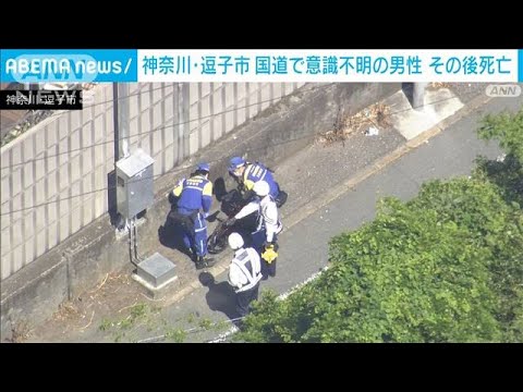 近くに倒れた自転車が…国道で意識不明の男性　搬送先の病院で死亡　神奈川・逗子市(2023年5月4日)