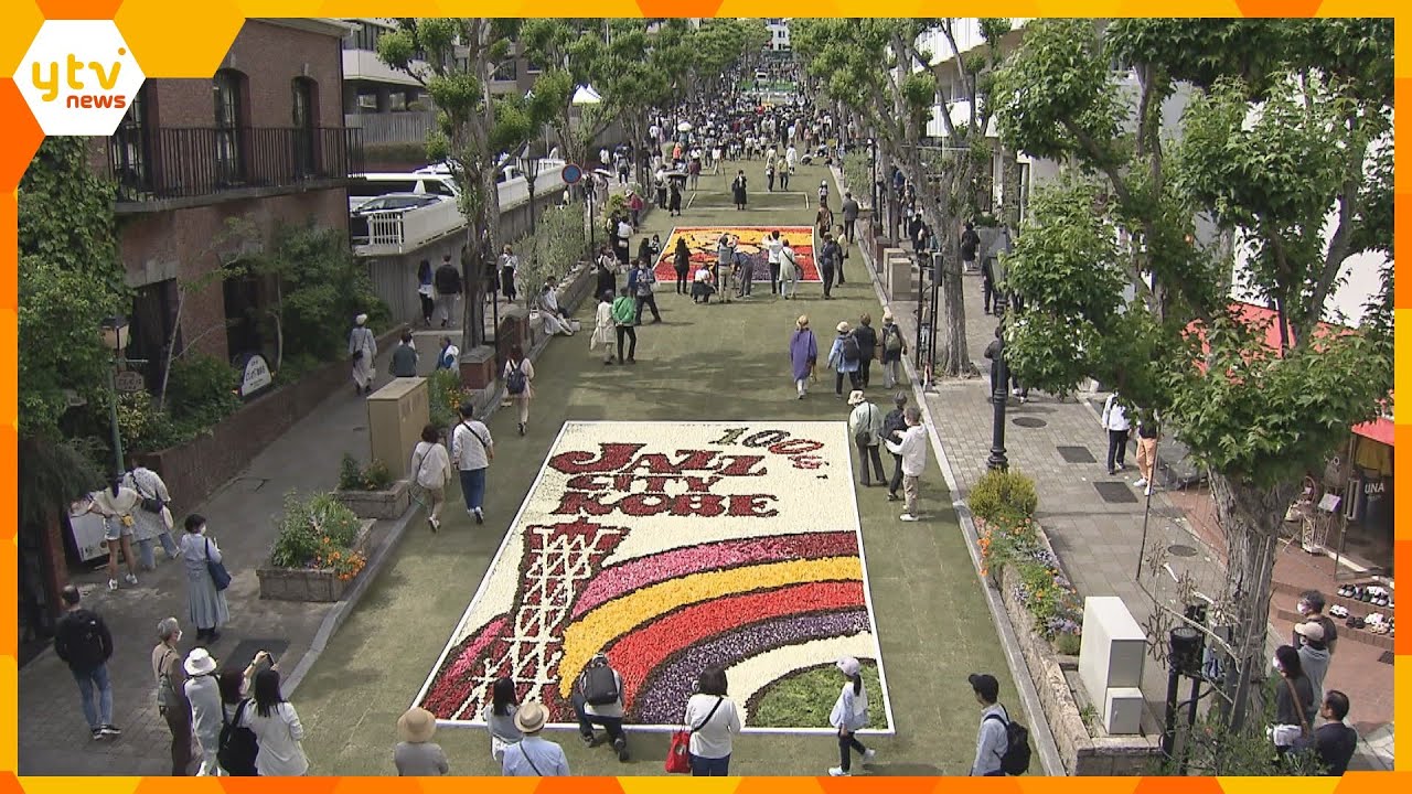 “インフォオラータこうべ”　「歌うダルビッシュ有」など２８万本のチューリップで８枚の絵　北野坂