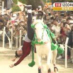 馬に乗りながら仰向けになる技も！１２００年続くとされる「駈馬神事」京都・藤森神社（2023年5月5日）