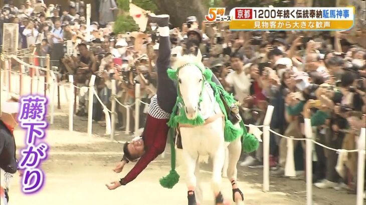 馬に乗りながら仰向けになる技も！１２００年続くとされる「駈馬神事」京都・藤森神社（2023年5月5日）