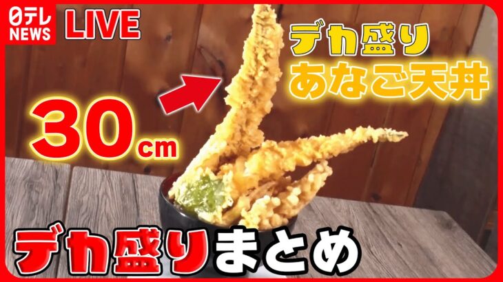 【デカ盛りまとめ】訳あって“デカ盛り”始めました！/ 赤字覚悟の海鮮“金メダル丼” /重さ1キロのおそば　など　グルメシリーズ一挙公開　every.特集アーカイブ（日テレNEWSLIVE）