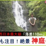 【中継】圧巻！西日本最大級「落差１１０ｍ」の絶景『神庭の滝』　道中では洞窟探検やサルとの出会いも（2023年5月5日）