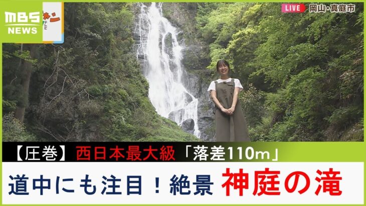 【中継】圧巻！西日本最大級「落差１１０ｍ」の絶景『神庭の滝』　道中では洞窟探検やサルとの出会いも（2023年5月5日）
